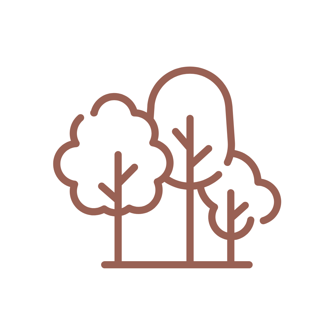 Trees Planted by Mimi Beds
