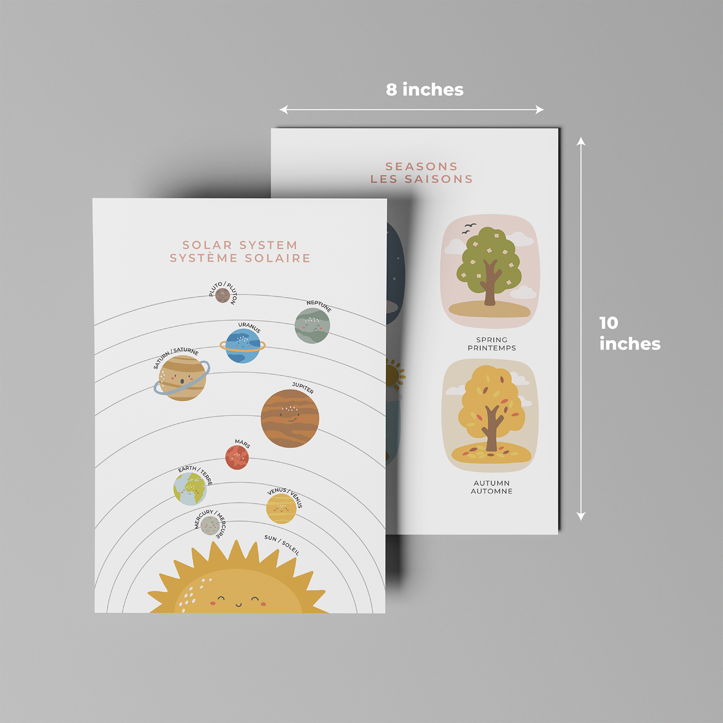 12 Pcs Set of Educational Posters